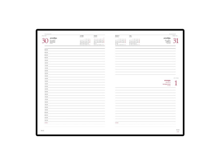 Ежедневник А5 датированный Leader 2025, красный