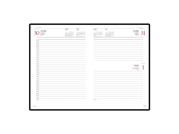 Ежедневник А5 датированный Leader на 2025 год