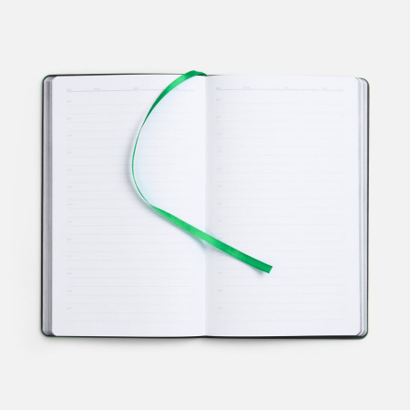 Ежедневник Trait, недатированный, черный с зеленым