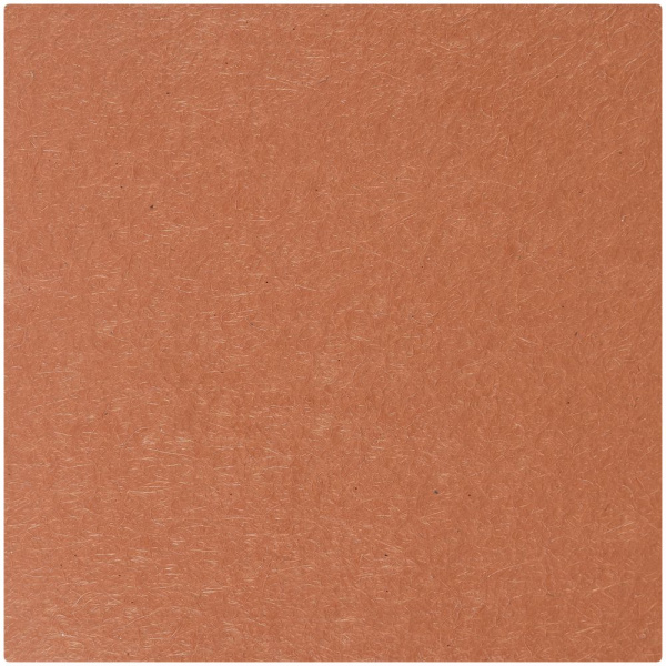 Лейбл Shan Nubuсk, L, коричневый