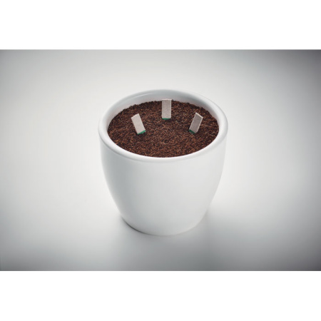 Набор для выращивания семян