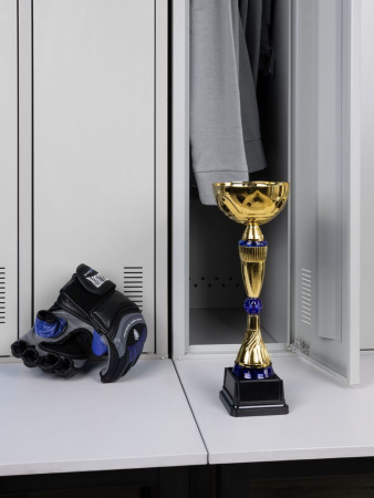 Кубок Awardee, средний, синий