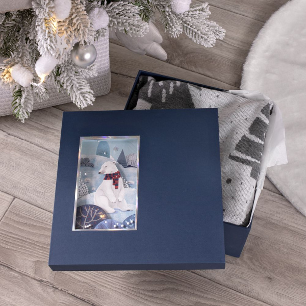 Коробка The Blue Bear