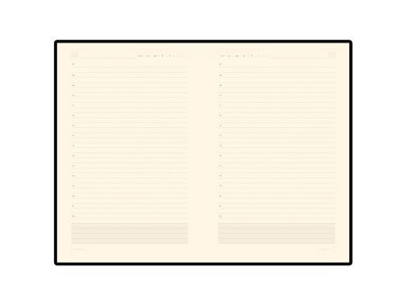 Ежедневник недатированный А5 Zenith