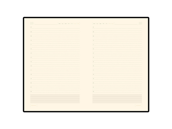 Ежедневник недатированный А5 Zenith