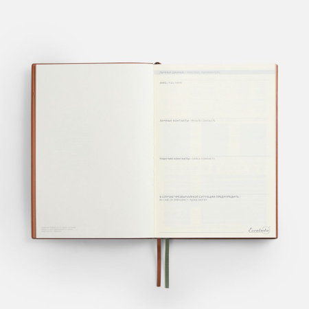 Ежедневник Avila, недатированный, зеленый