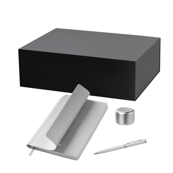 Подарочный набор Passion, Molto, серебряный (колонка, ежедневник, ручка)