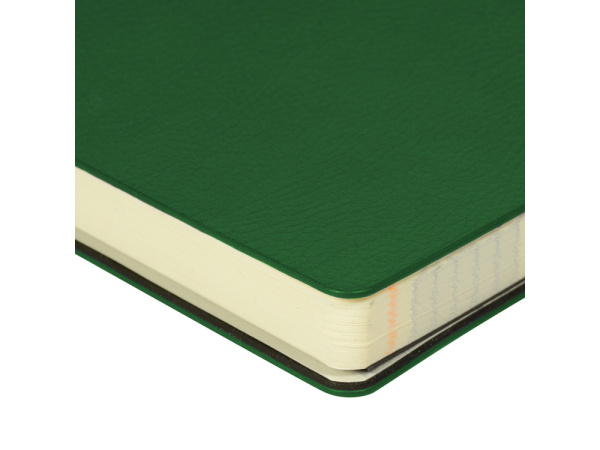 Ежедневник недатированный А5 Megapolis flex smart, зеленый