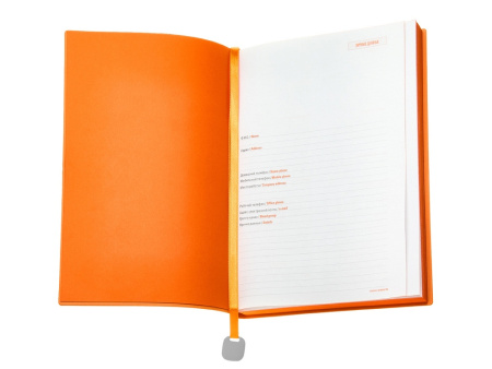 Ежедневник недатированный А5 Mercury