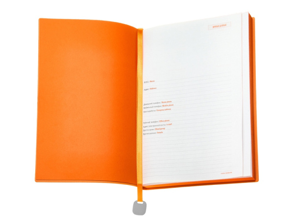 Ежедневник недатированный А5 Mercury