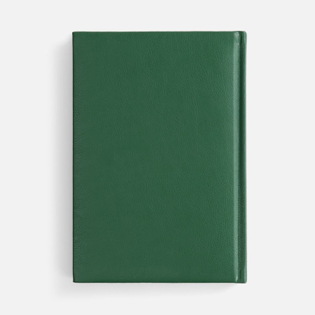 Ежедневник Baza, датированный, зеленый
