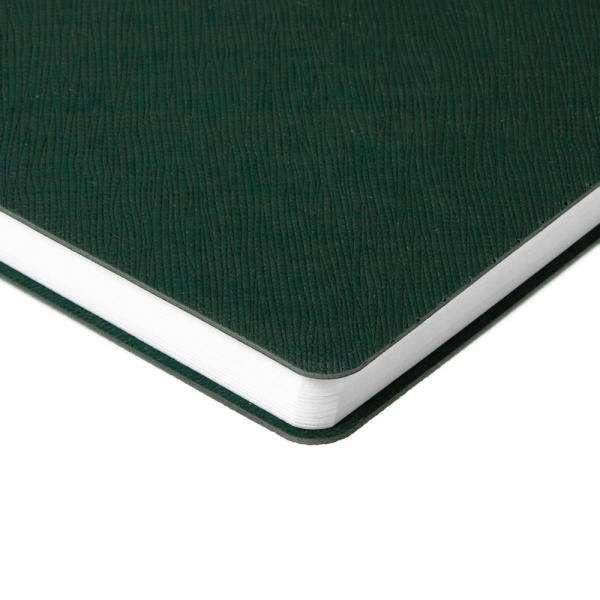 Ежедневник Flexpen Bright, недатированный, зеленый