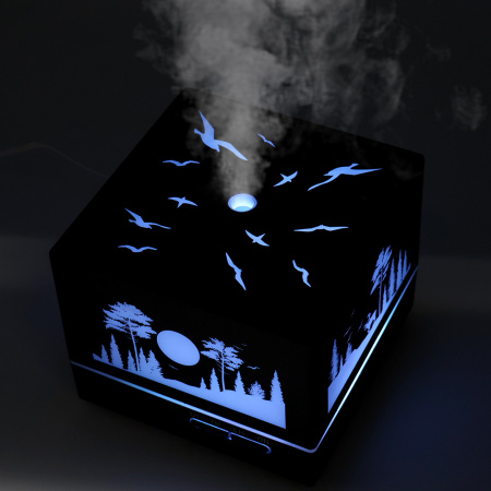 Светодиодный USB увлажнитель Wisdom с подсветкой гравировки, черный