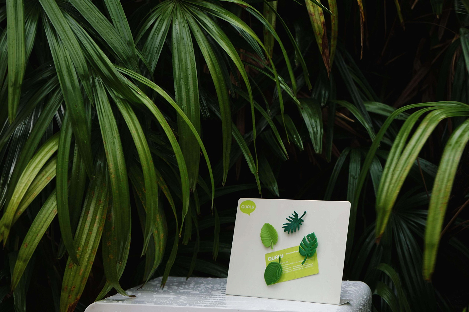 Набор магнитов Тропики