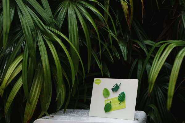 Набор магнитов Тропики