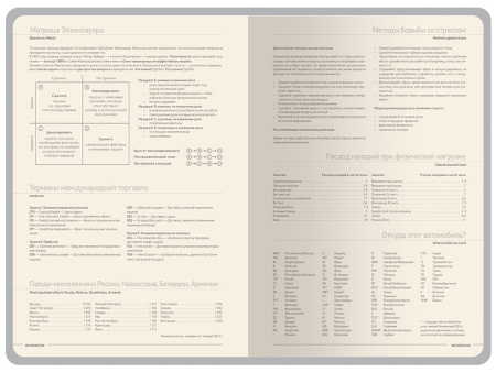 Ежедневник недатированный А6 Megapolis Color