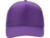 Бейсболка Poly 5-ти панельная, фиолетовый