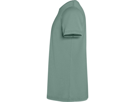 Футболка Corgi мужская, сине-зеленый выстиранный