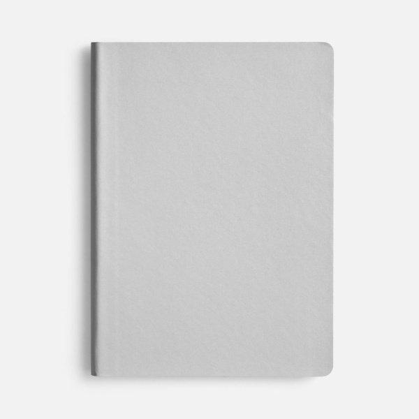 Блокнот Flex Shall ver.2, серебристый
