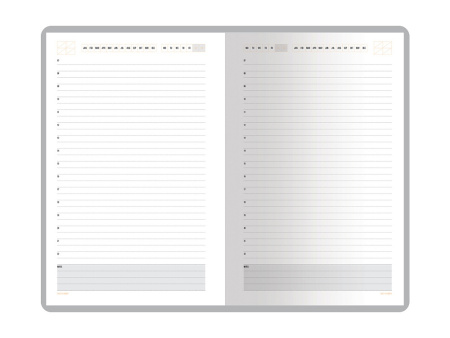 Ежедневник недатированный А5 Mercury