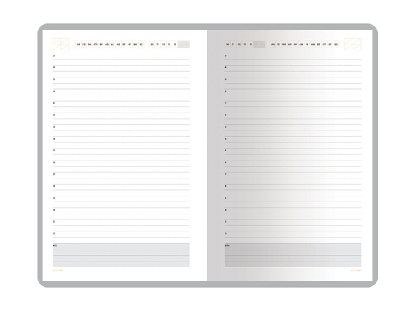 Ежедневник недатированный А5 Mercury