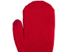 Варежки Dunant, красный