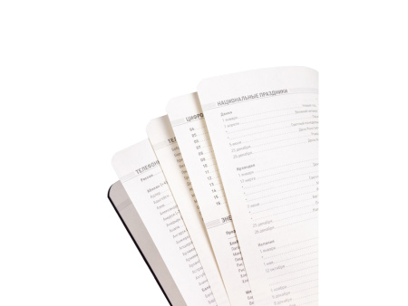 Ежедневник А5 недатированный Megapolis Velvet Flex, бордовый