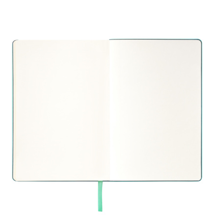 Ежедневник Спарк (Spark) недатированный, мятный (без упаковки, без стикера)