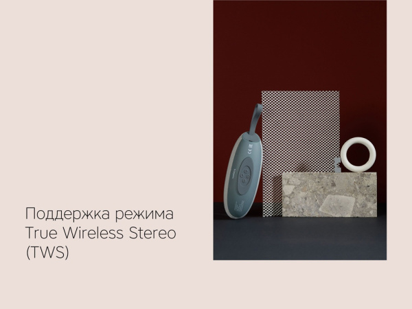 Портативная колонка Mysound Onyx 2C