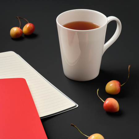 Кружка фарфоровая Веста (Vesta)