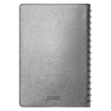 Ежедневник Виста Нео (Vista Neo) недатированный, серый