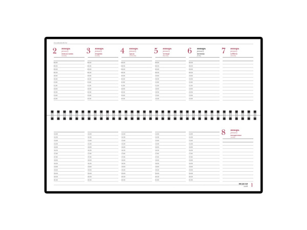 Планинг датированный Velvet на 2025 год