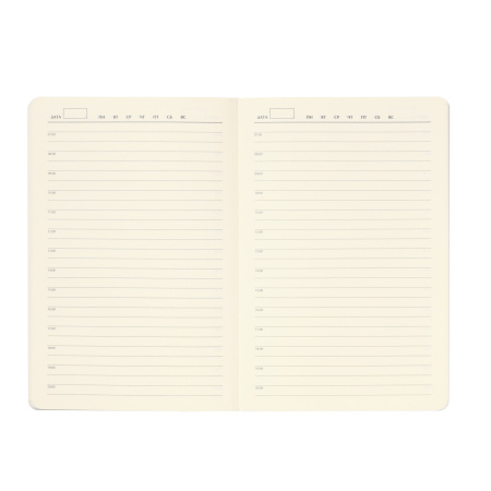 Ежедневник Voyage недатированный, серый