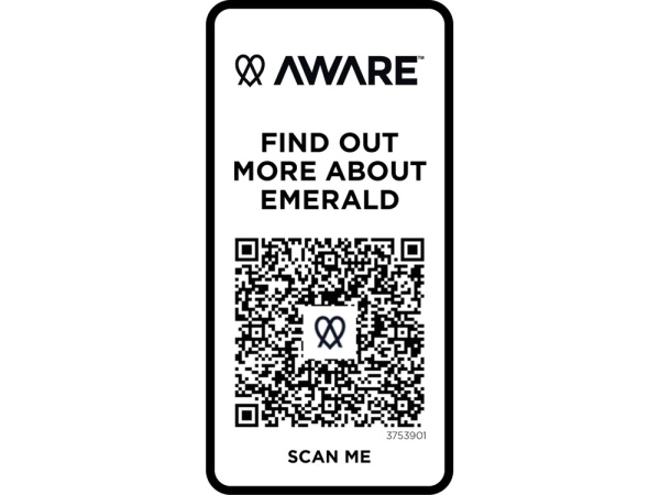 Рубашка поло Emerald, унисекс