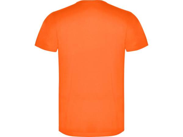 Футболка Akita мужская