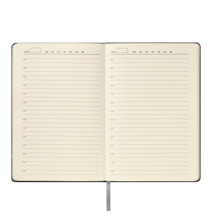 Ежедневник Теоло (Teolo) недатированный, серый