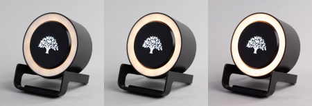 Bluetooth колонка-подставка "Smart Loud" с беспроводным (10W) зарядным устройством, лампой и подсветкой логотипа Bluetooth колонка-подставка "Smart Loud" с беспроводным (10W) зарядным устройством, лампой и подсветкой логотипа