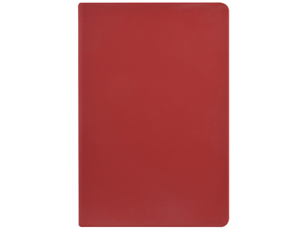 Ежедневник А5 датированный Megapolis Color 2026, бордовый