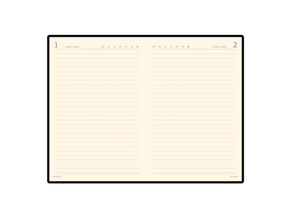 Ежедневник полудатированный портфолио А5 Profy