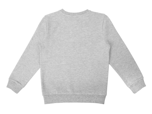 Свитшот Motion с начесом, детский