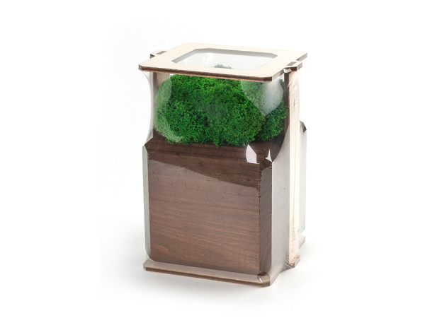 Композиция Мох в интерьере