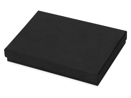 Набор Партнер: визитница, ручка шариковая, черный