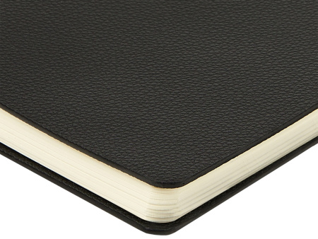 Ежедневник недатированный А5 Alba