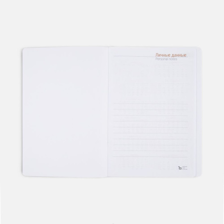 Ежедневник Flex Shall, датированный, серый