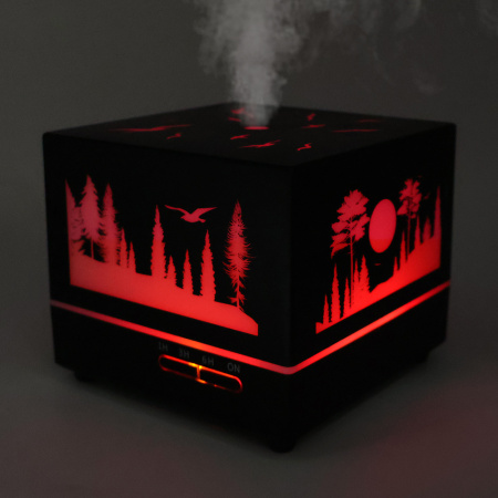 Светодиодный USB увлажнитель Wisdom с подсветкой гравировки, черный