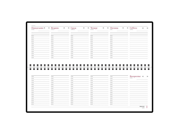 Планинг недатированный Sidney Nebraska