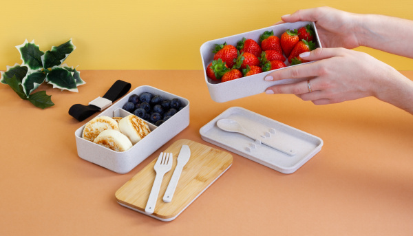 Контейнер для ланча "Natural" с приборами