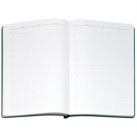 Ежедневник Flexpen Bright, недатированный, зеленый