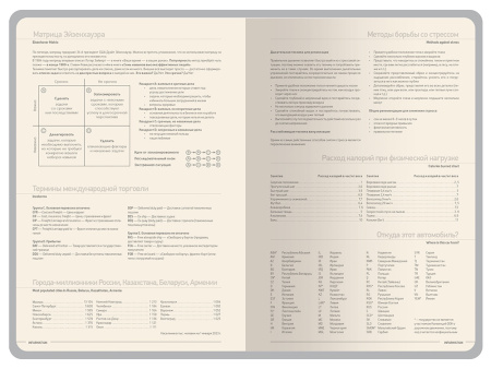 Ежедневник А5 датированный Megapolis Color 2026, черный