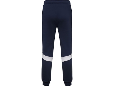Брюки спортивные Rodas мужские, синий нэйви